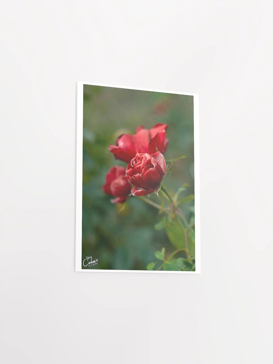 Red Like Roses - Print product image (3)