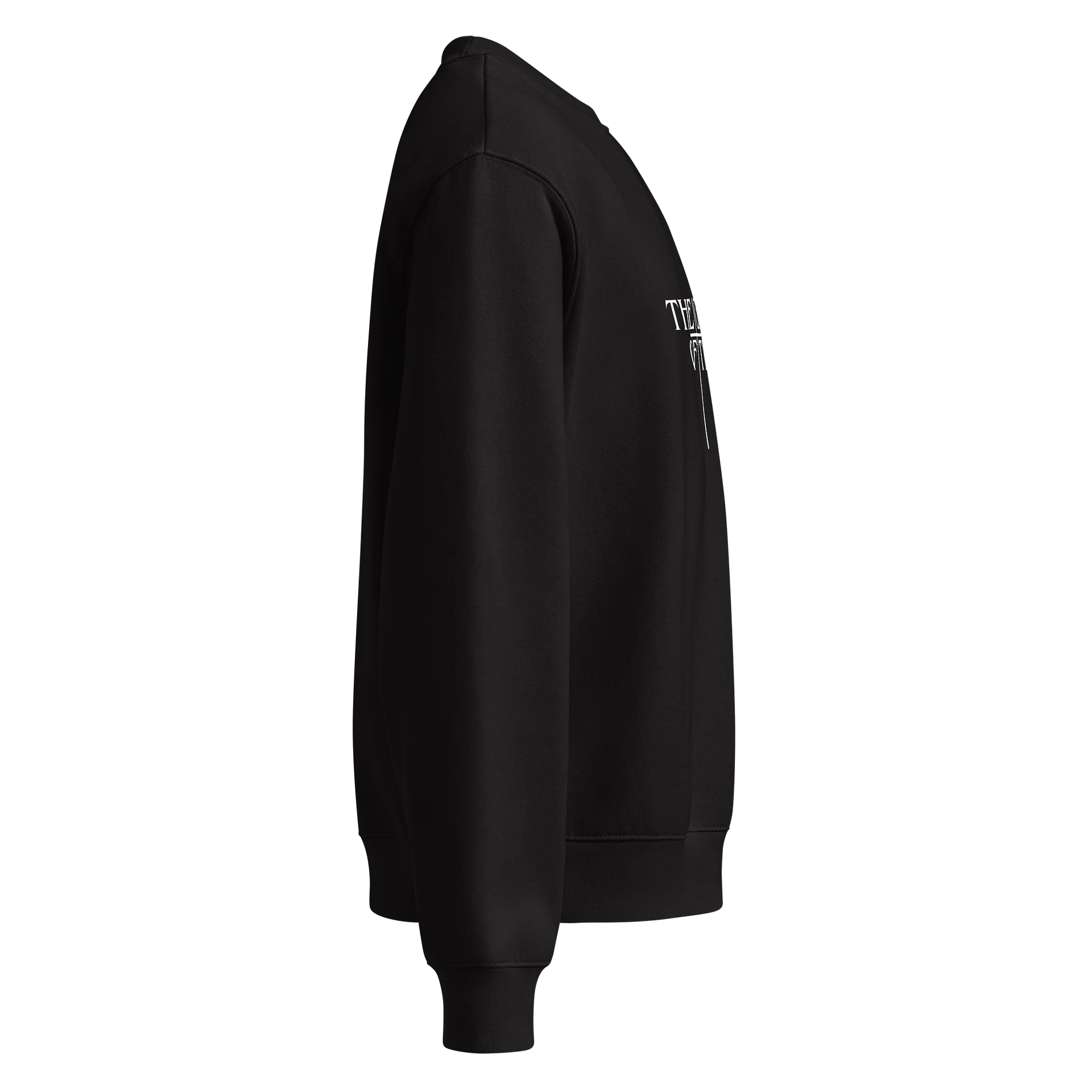 The Gospel of Truth Unisex Heavyweight Sweatshirt product image (7)