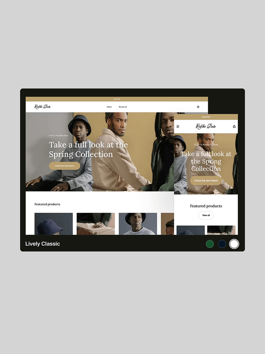 Automated Merch Store That Builds Your Brand — and Your Income product image (3)