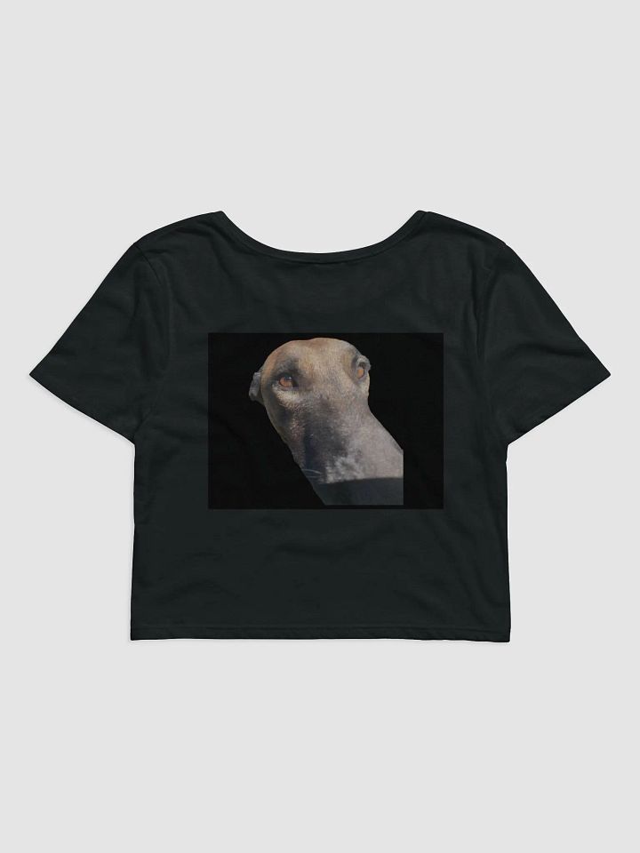 Soulful Pup Women's Crop Tee Malinois Tina product image (2)