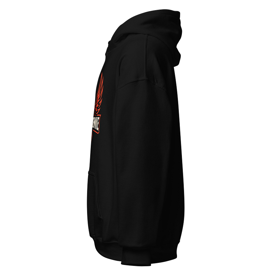 Pheonix hoodie product image (3)