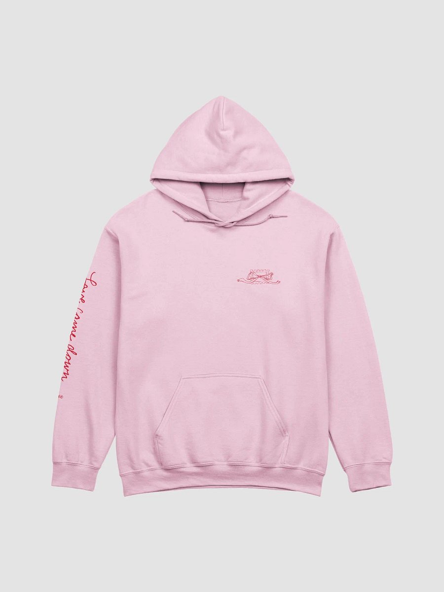 Love Came Down (Gildan Classic Hoodie) product image (3)