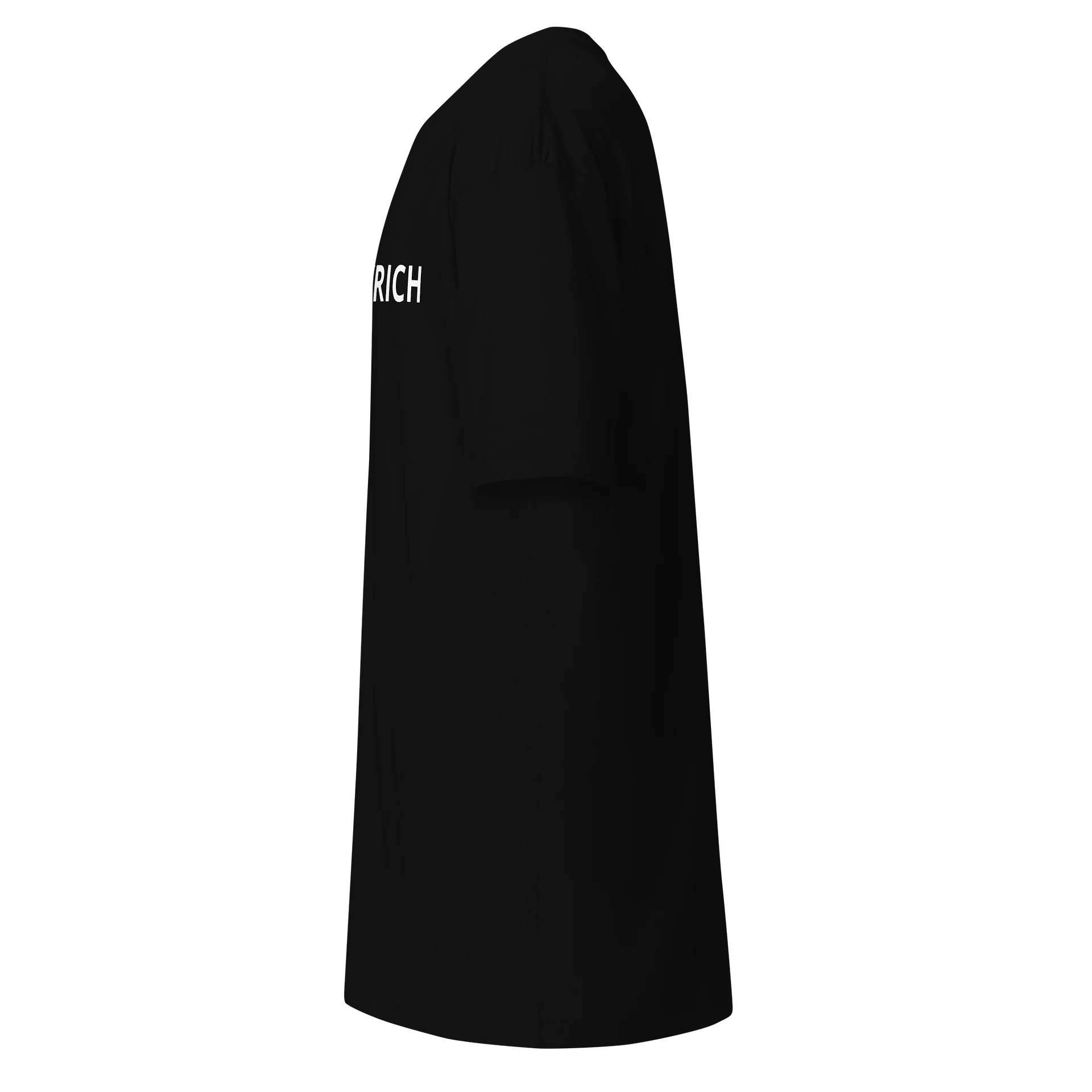 RICHEVERYCH HEAVY TEE Men's Tee product image (9)