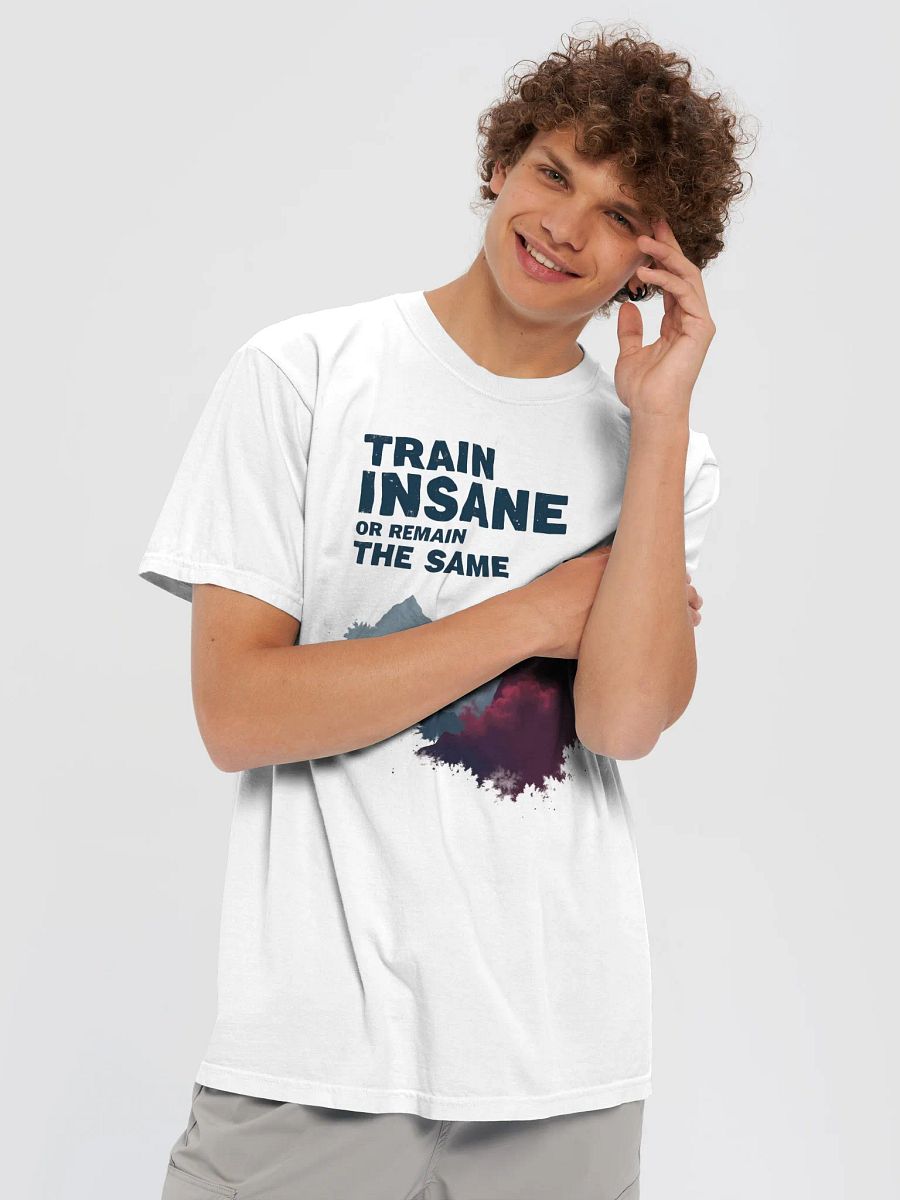 Peak Performance Cotton Tee product image (3)