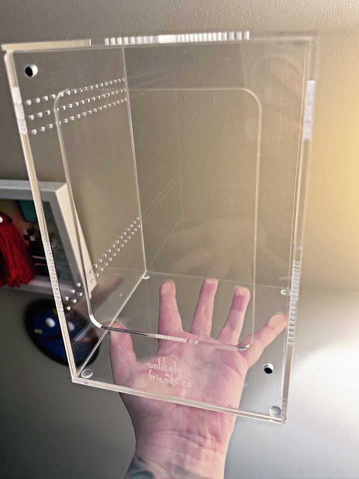 CLEARANCE XL jumping spider enclosure product image (1)