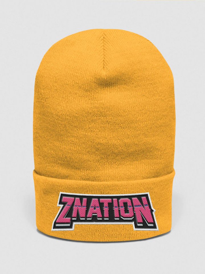 Z Nation Beenie product image (2)