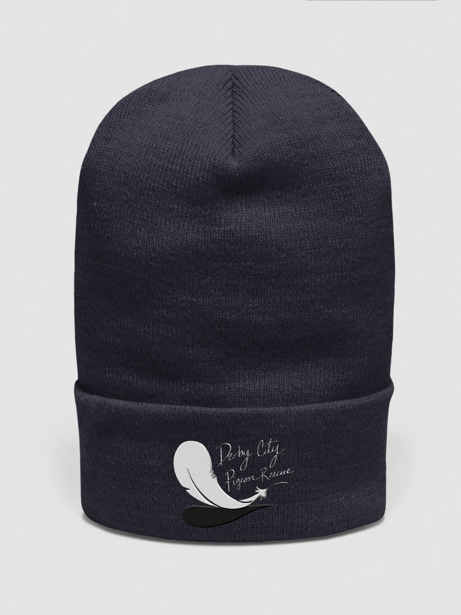 DCPR Embroided Logo Beanie product image (11)