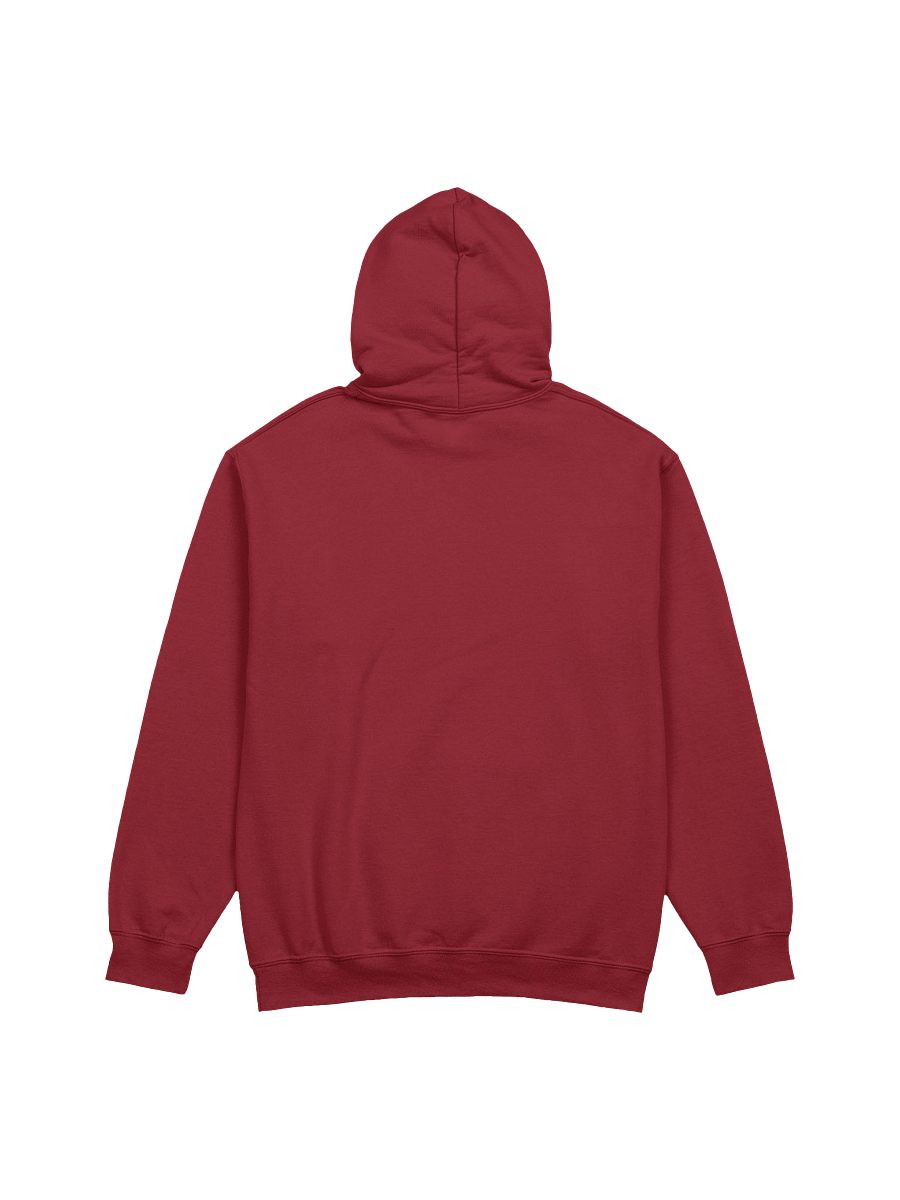 VLDL DND Logo Hoodie product image (3)
