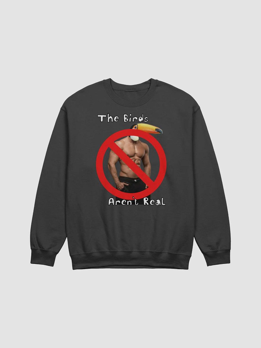 Government Spies Sweatshirt product image (1)
