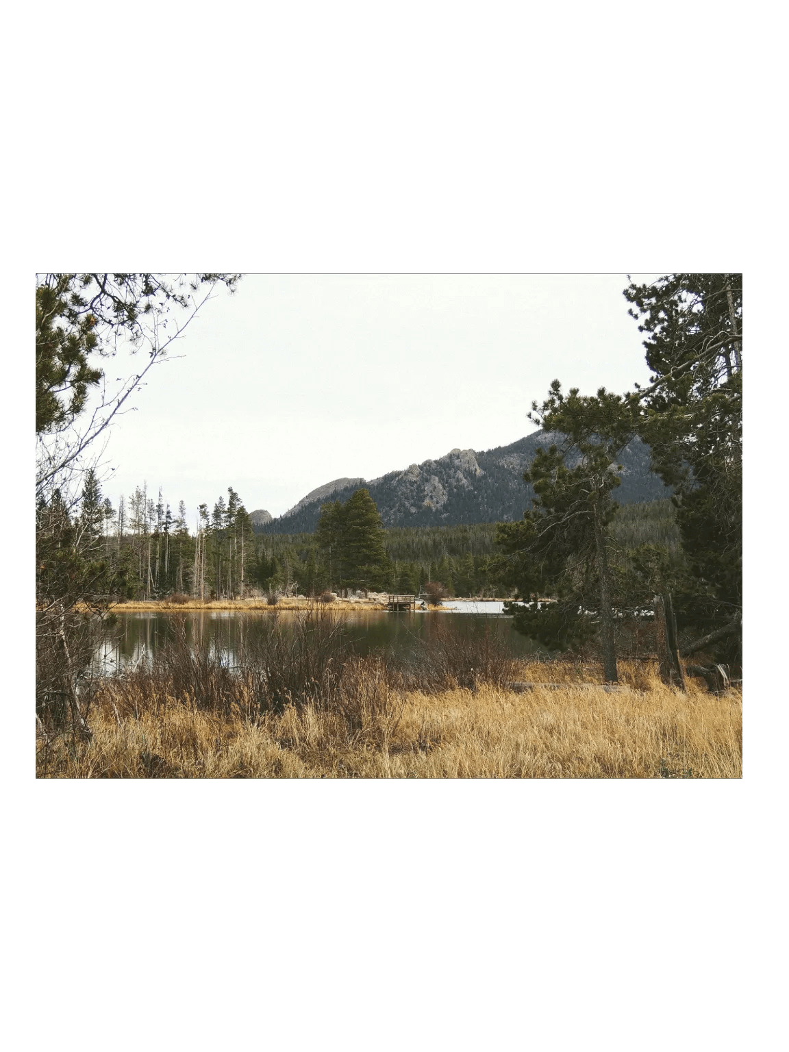 Sprague Lake Poster Print product image (4)