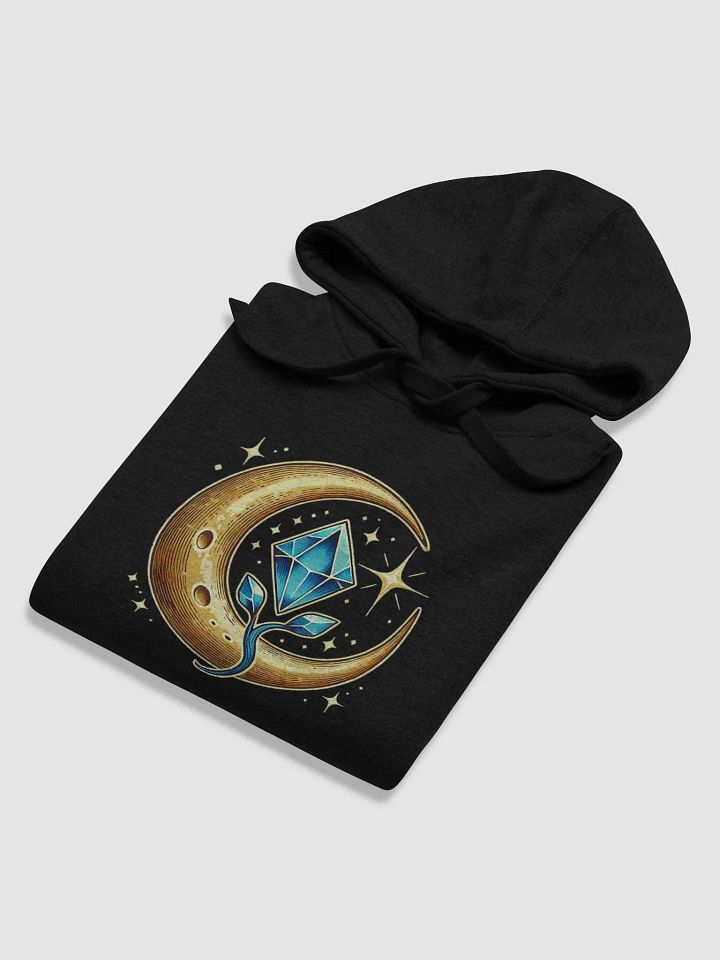 Tier 2 Hoodie '24 product image (2)