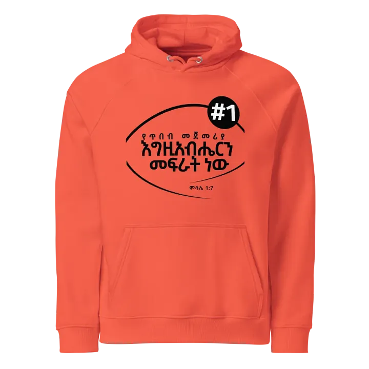 'Proverbs 1:7' Hoodie product image (1)