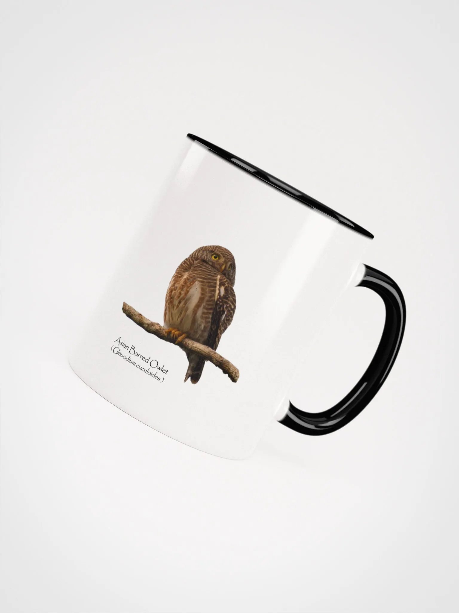 Asian Barred Owlet mug product image (37)