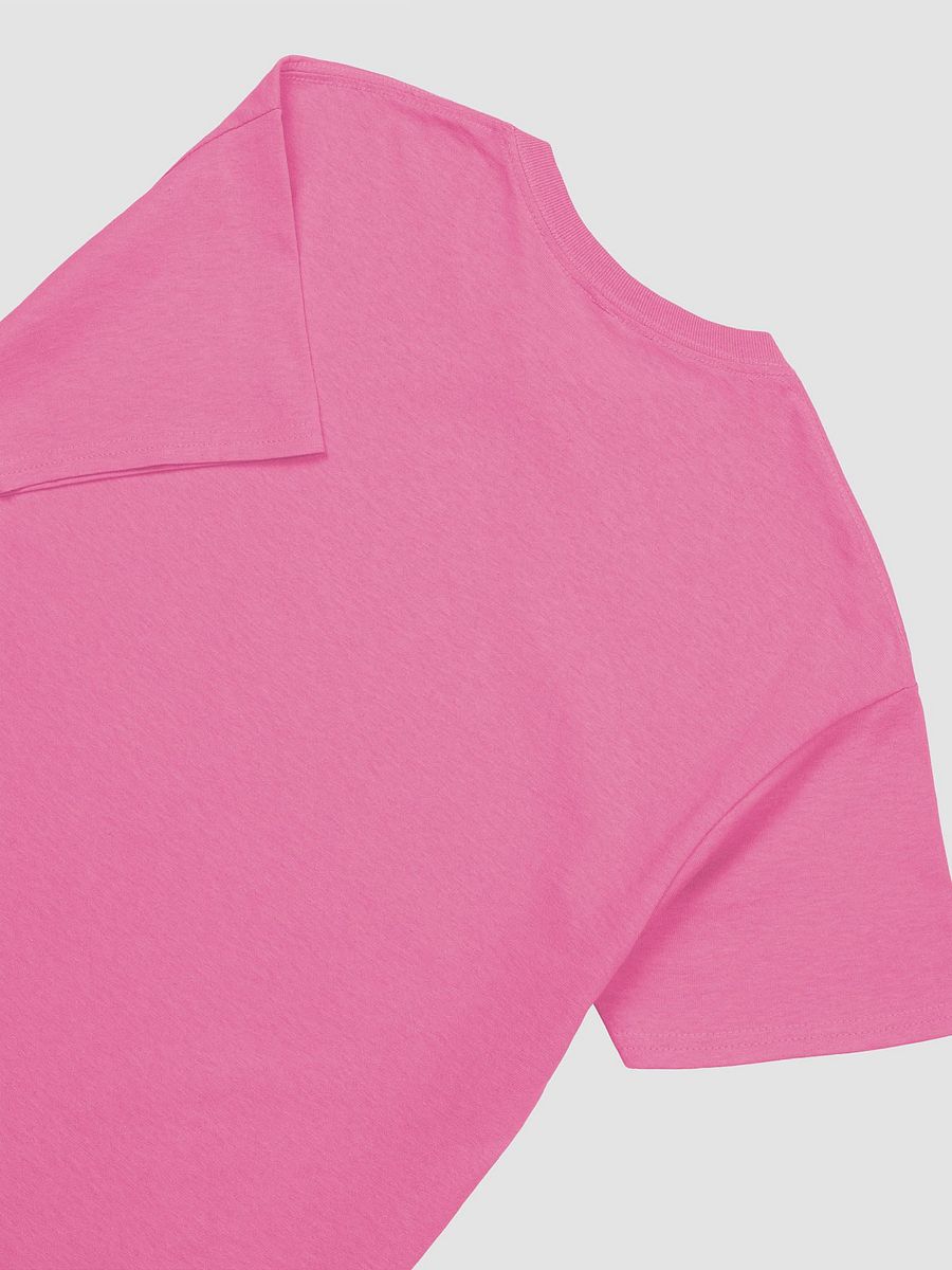 Fed Up Shirt product image (4)