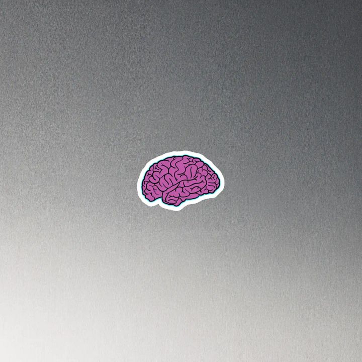 Braingap Brain Magnet product image (4)