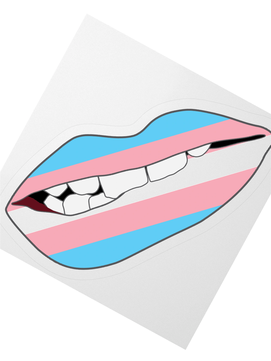 Trans Pride Flag Biting Lips Sticker product image (6)