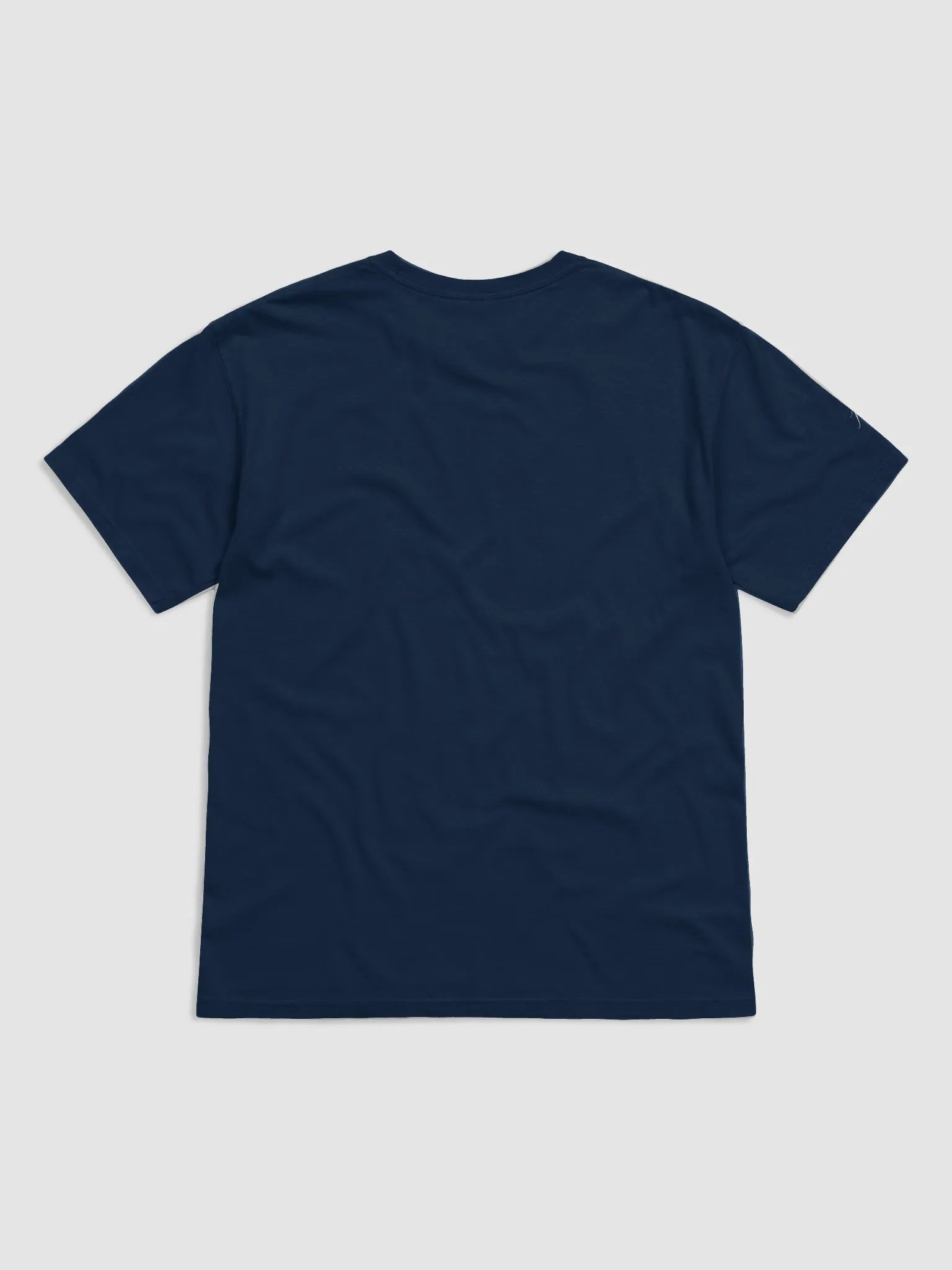 Will Plie for Rent T-Shirt product image (16)