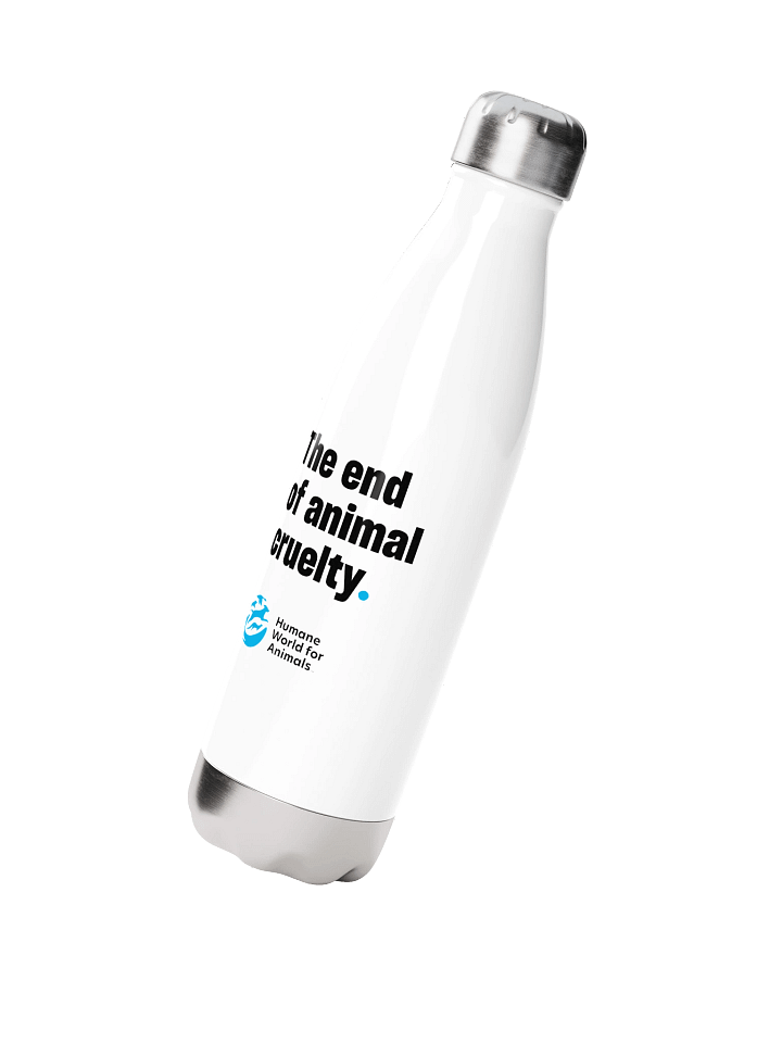 Stainless Steel Water Bottle product image (2)