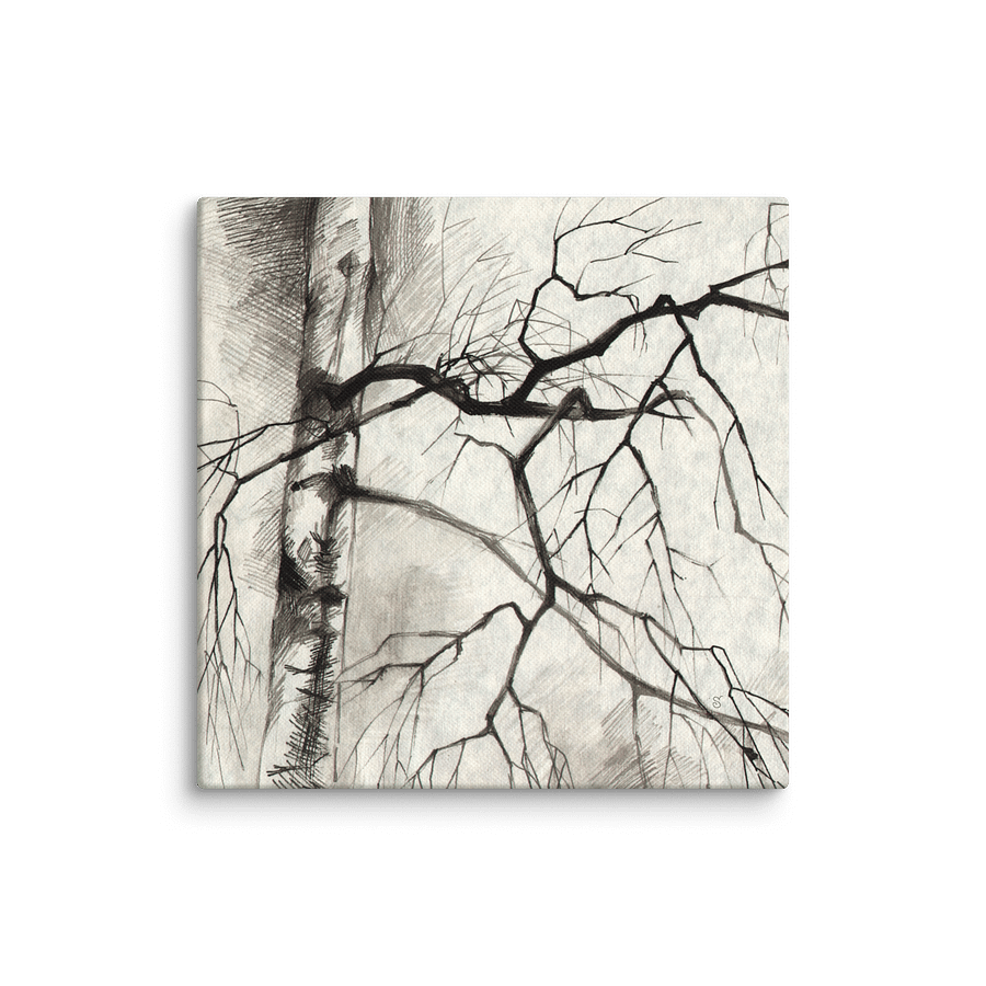 Birch Whispers Canvas - Birches product image (1)