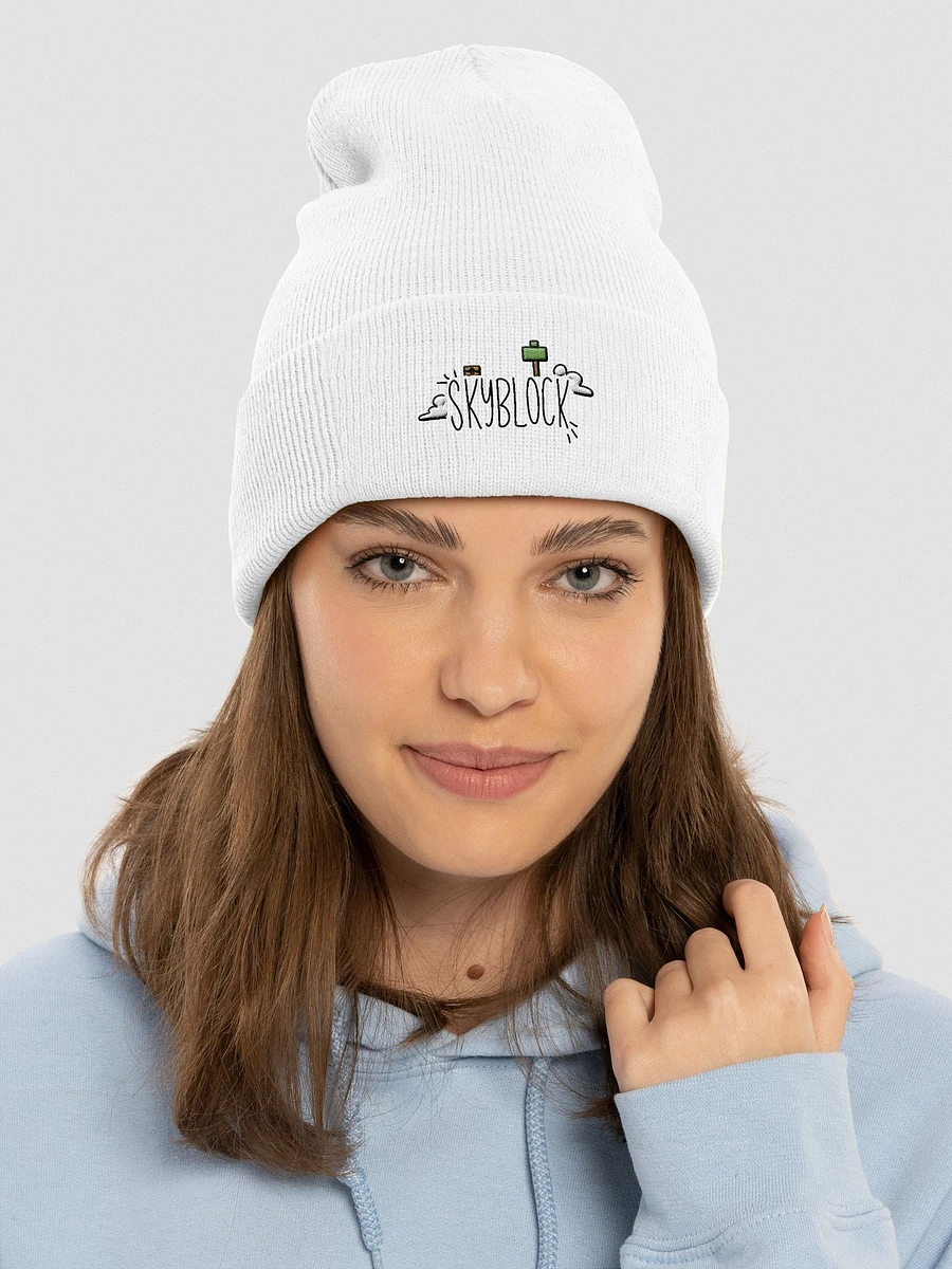 Skyblock Beanie product image (3)