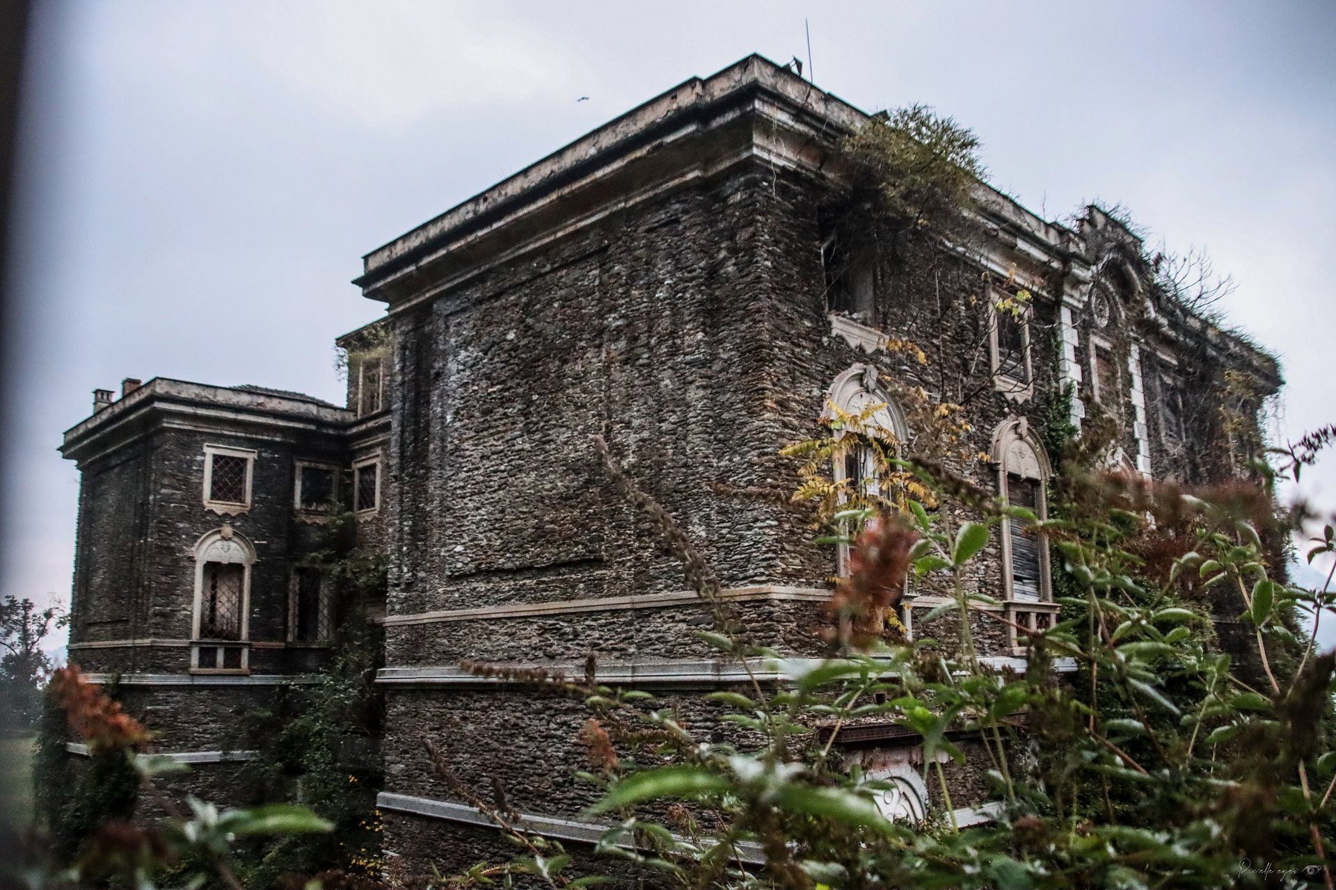 Fine Art - Urbex - Whispers Behind the Leaves product image (1)