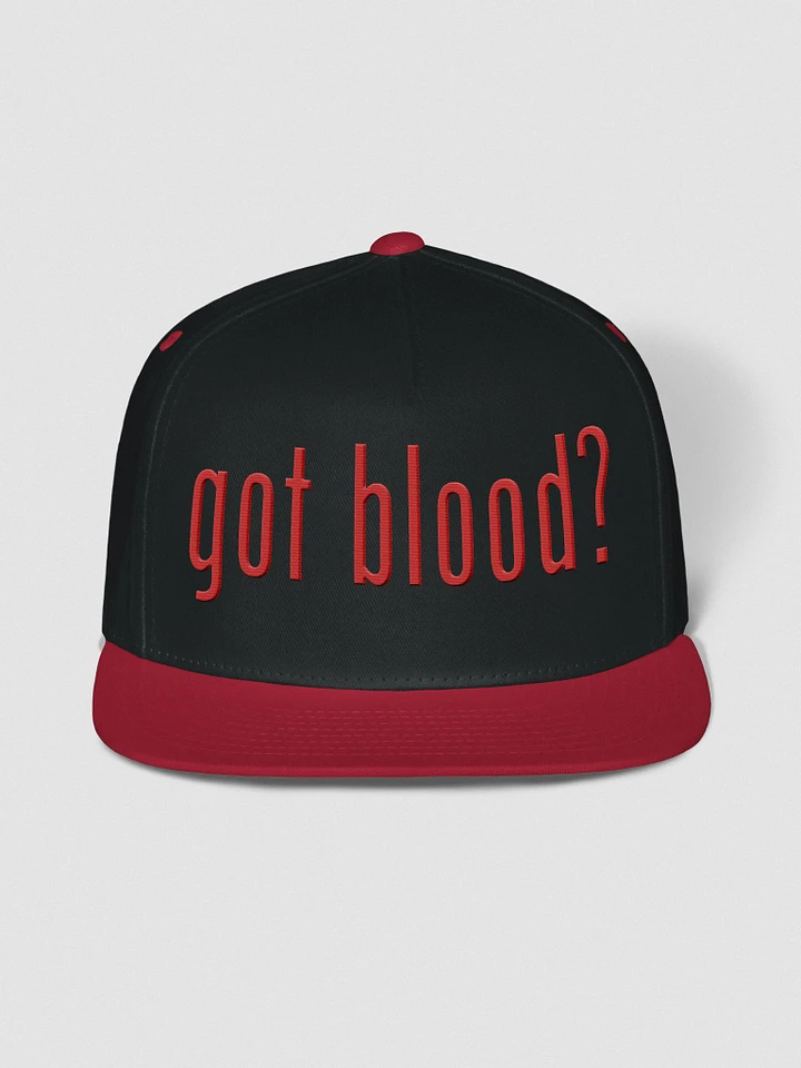 got blood? embroidered snapback hat product image (14)