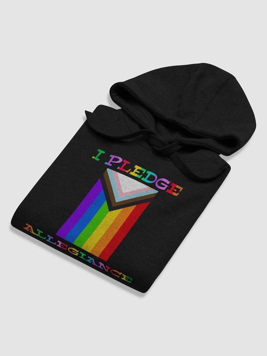 I Pledge Allegiance To Progress Hoodie product image (6)
