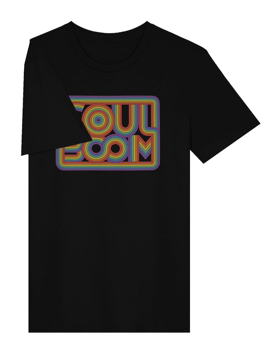 Rainbow Logo Shirt (100% Organic Cotton) product image (3)