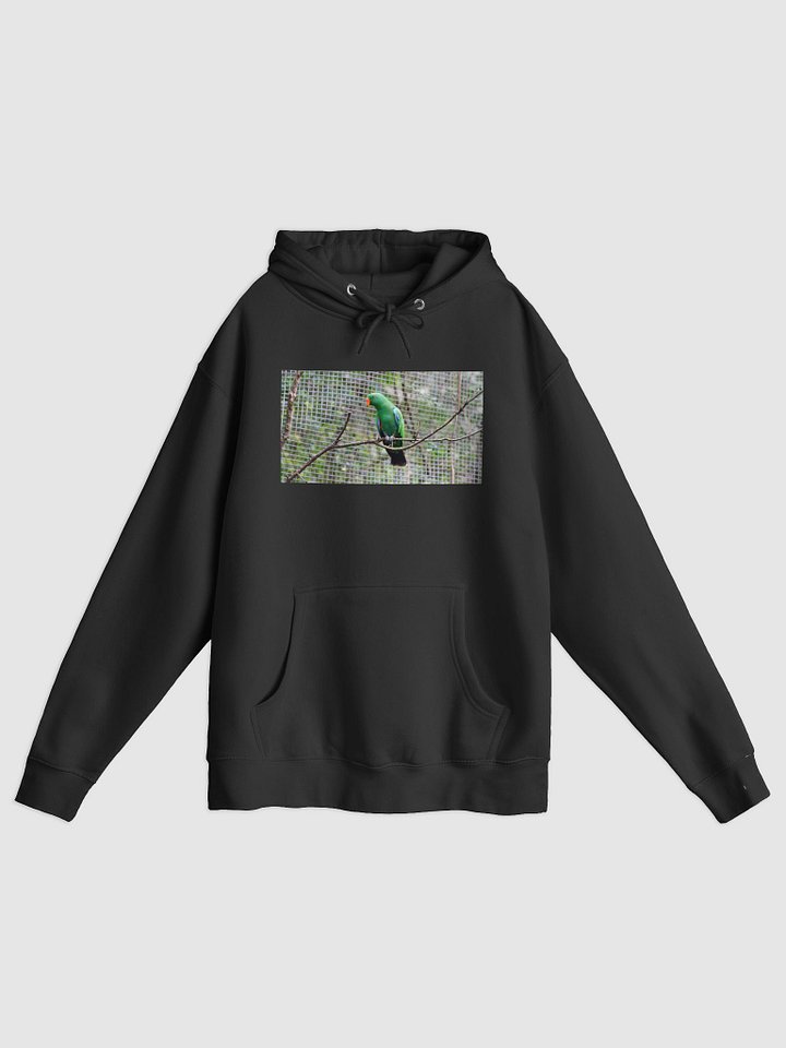 Vibrant Parrot Perch Hoodie product image (1)