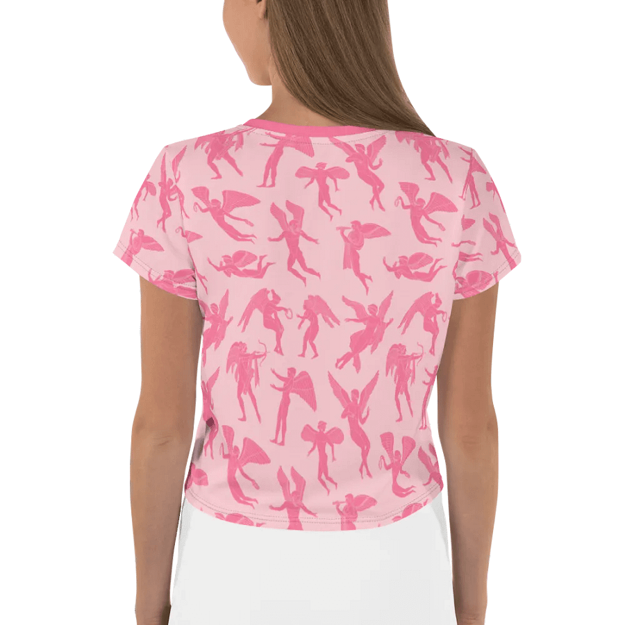 Erotes - rose crop top product image (2)