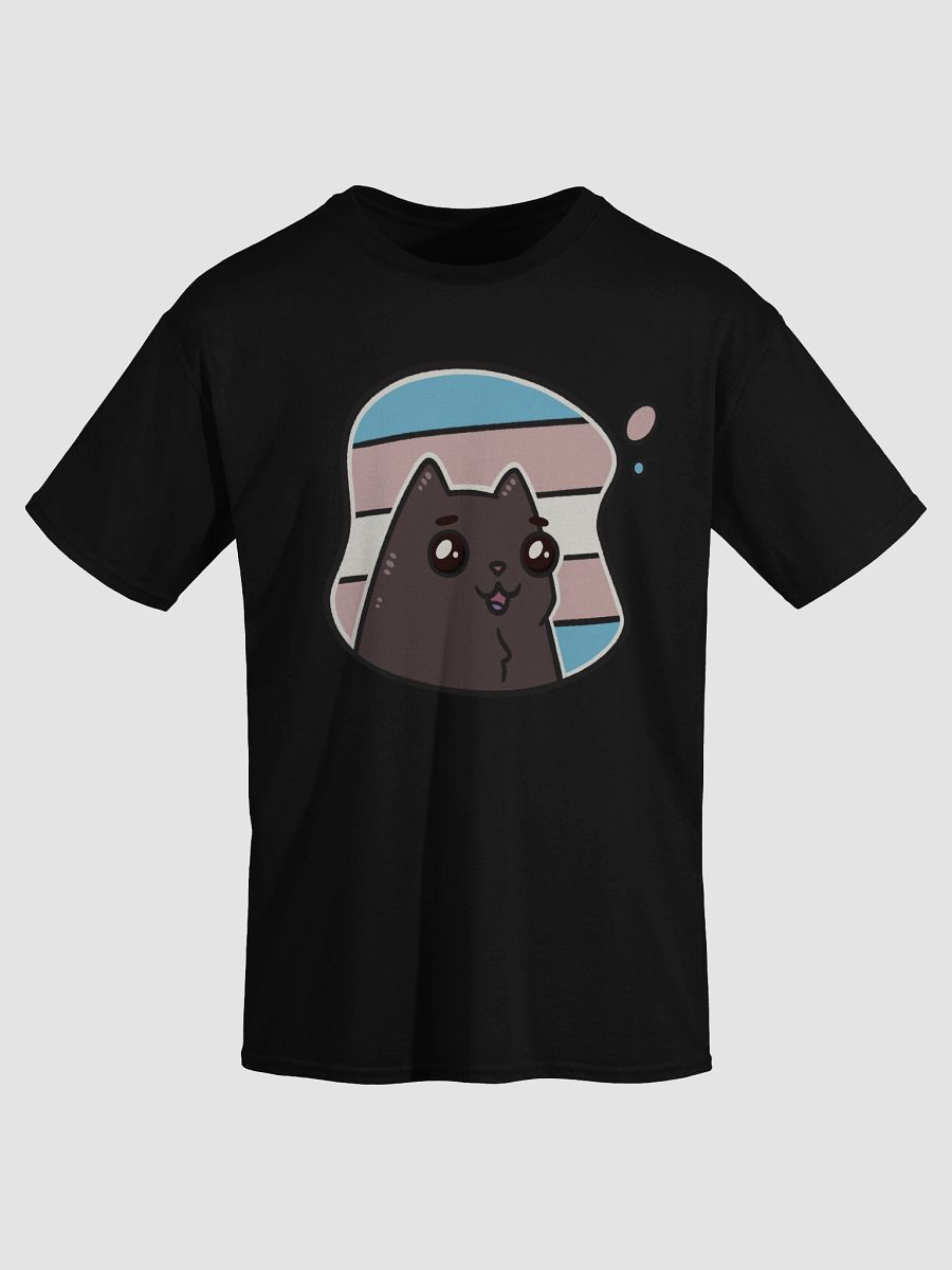 t-shirt : void transgender product image (2)