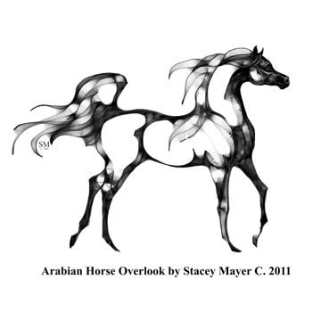 Buttoned Arabian Stallion Cardigan by Stacey product image (11)