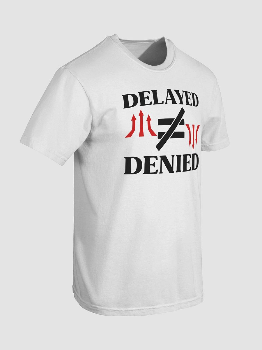 Delayed Not Denied Comfort Color T-shirt. product image (23)
