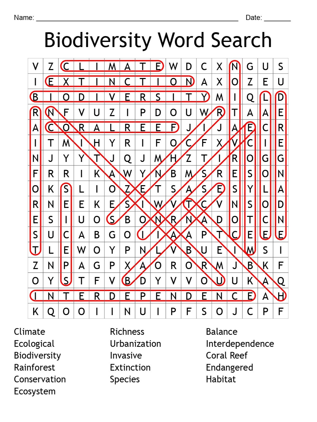 Biodiversity Word Search: Explore 16 Key Ecology Terms! product image (2)