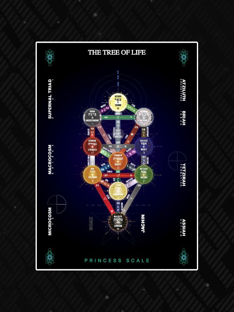 The Tree of Life Digital Print Princess Scale Black product image (1)
