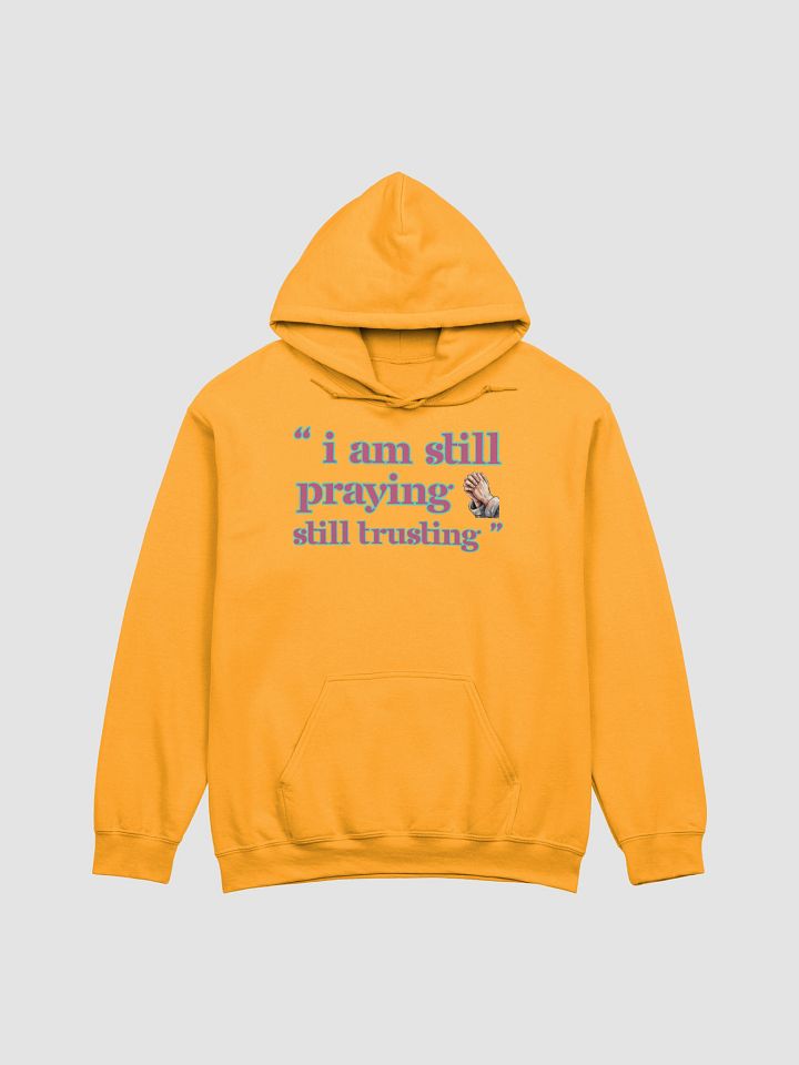 I am Still Praying, Still Trusting Gildan Hoodie. product image (9)