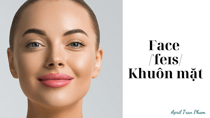 Vocabulary about body product image (2)