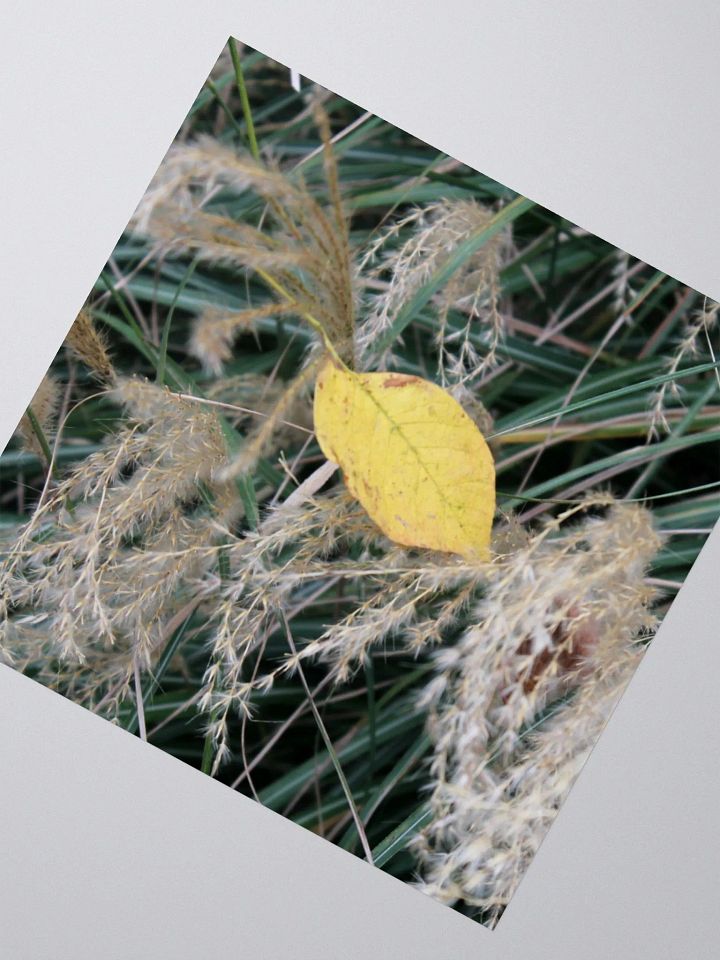 A Study in Flowers 11 - sticker version product image (8)