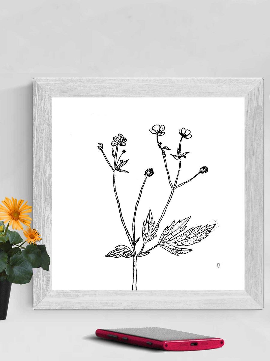 Botanical Bliss Canvas - Wild Flowers product image (3)