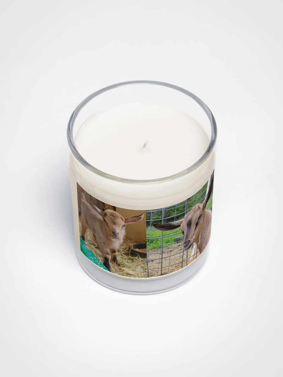 Double Kiwi candle product image (3)