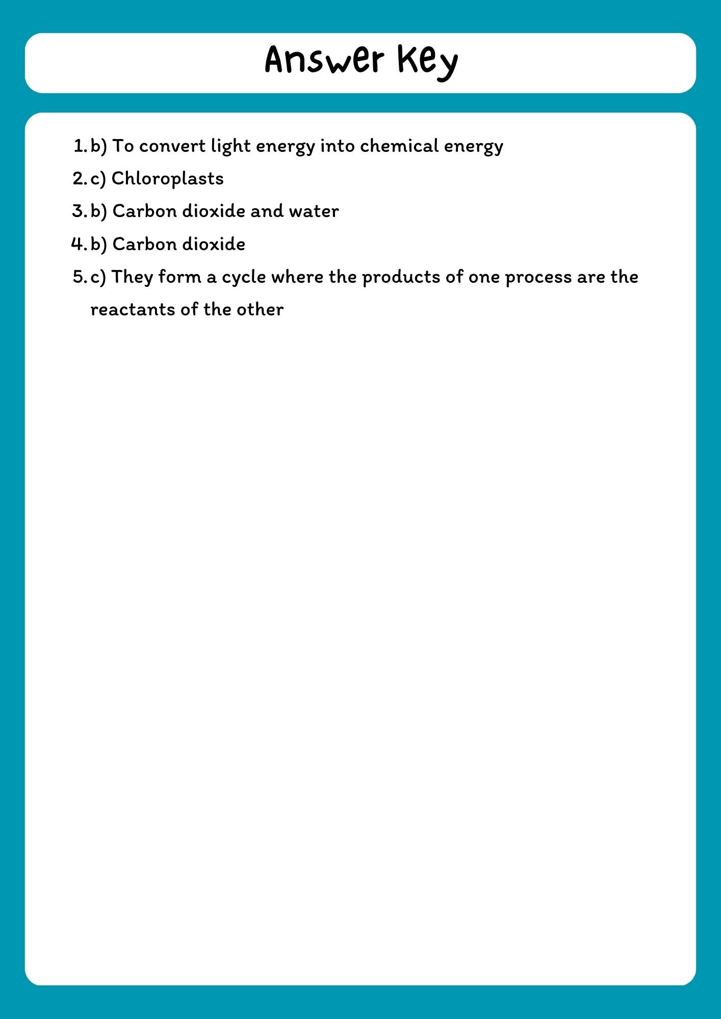 Photosynthesis and Cellular Respiration Reading Comprehension Passage with Questions product image (3)