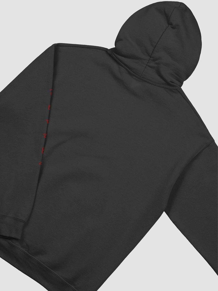 Jetz Pride Hoodie product image (34)