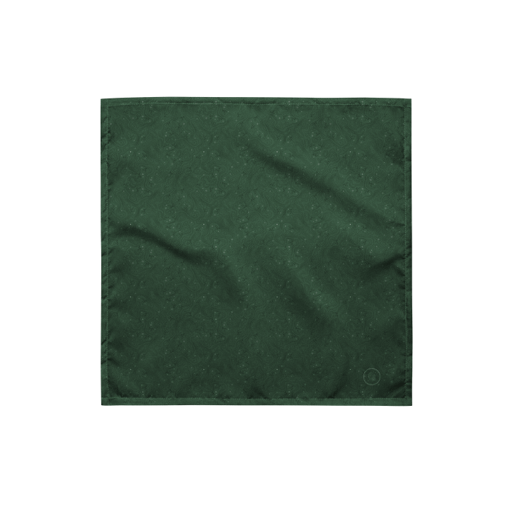 Thorne Topography Bandana (Light Green) product image (1)