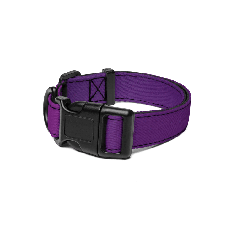 Collier Pour Animaux Dégradent product image (1)