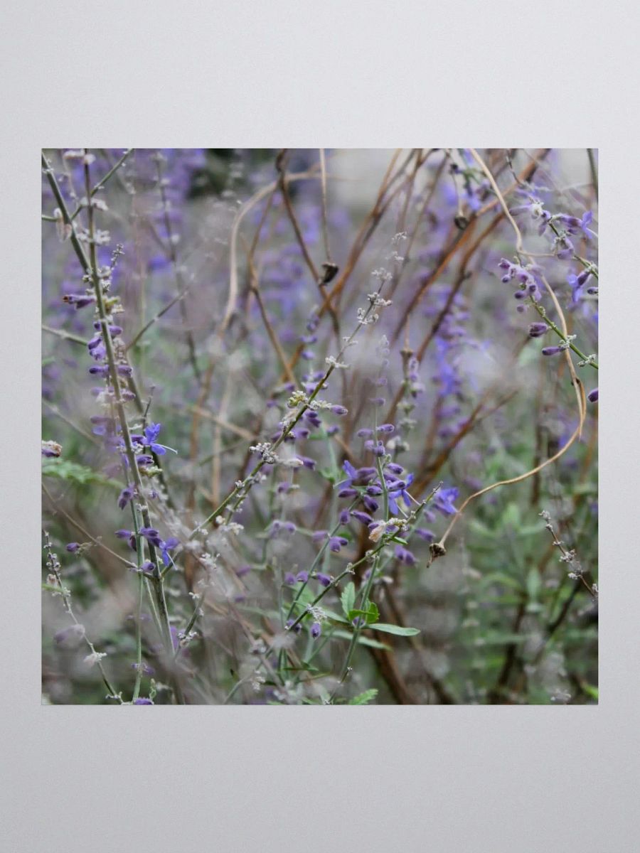 A Study in Flowers 14 - sticker version product image (3)
