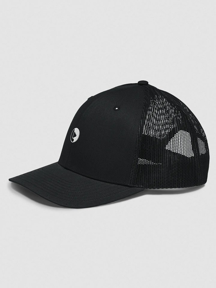 Logo Hat product image (2)
