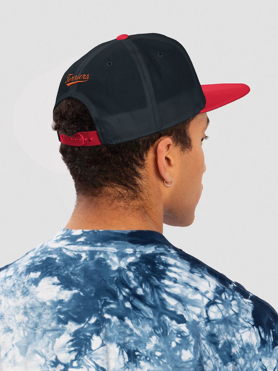 Galt Terriers Legacy Cap product image (43)