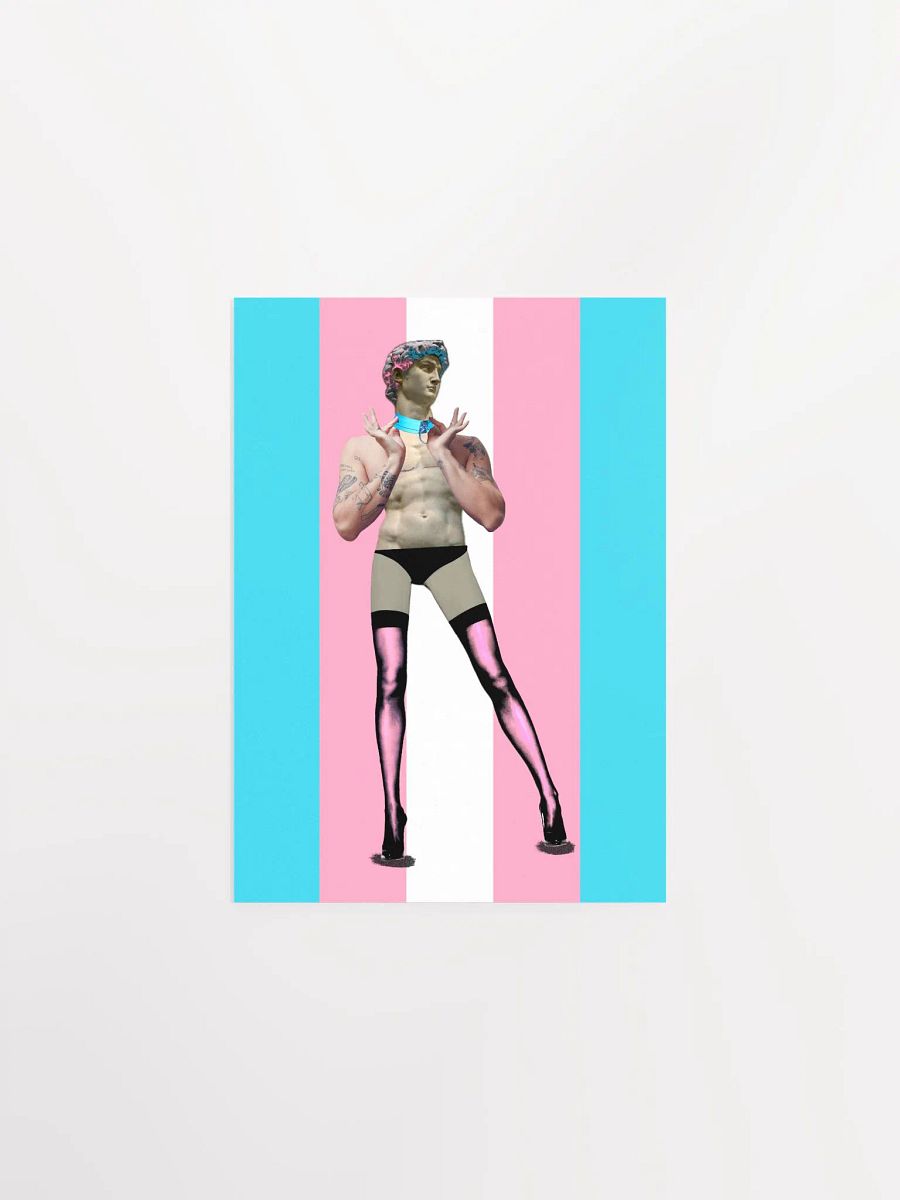 Trans Day of Visibility 4 Poster product image (1)