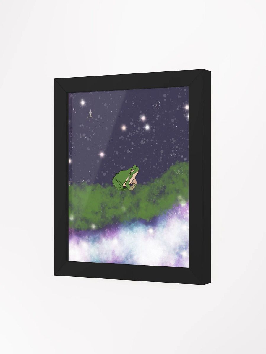 Frog Galaxy product image (17)