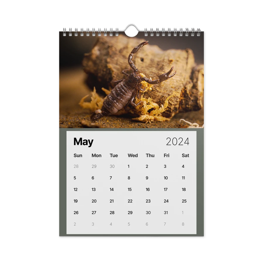 Alveus 2024 Calendar product image (15)